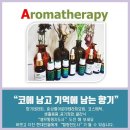 우리가족 천연제품 만들기 이미지