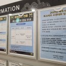 제주도 아기랑 첫 수영장 마이테르수영장 연동점 후기