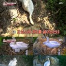 고니농장 이미지