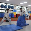 경희대 에이스 태권도 이미지