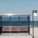 송지호해변(중앙) 이미지