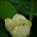 반야원 이미지