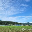 09-18-21(토).덕향의 아침산책.[우리말 바루기] 본음과 속음 이미지