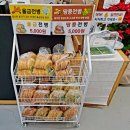 담쟁이 | 정갈한 충북 옥천 한정식 맛집 담쟁이 한정식에 다녀온 방문 후기