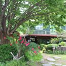 농월초계탕 이미지