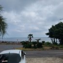 섶섬 아우룸 이미지