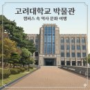 고려대학교 | 고려대학교 박물관 방문 후기, 캠퍼스 속 역사 문화 여행