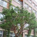 오리초등학교 내 이미지