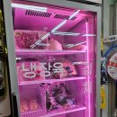 하나마트 | 마트 두 군데 방문 후기. 갈매기할인마트, 야영장마트. 농협하나로마트는 영업을 안하나? 장봉도 캠핑...