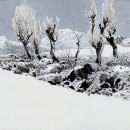 산수화 이미지