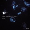 바라다짐 | 난아직만스무살어린이인데너무색시를바라네나한테