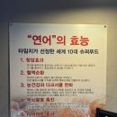 임팩트 계대점 | 성서 계대동문술집, 성서계대술집, 대구 성서계대술집 “사이안” 후기 🍣🍝