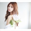 스튜디오 가미 이미지