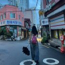 모브(MAUVE) | 잔스포츠 하프파인트 모브 헤이즈 MAUVE HAZE 후기