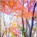 금강공원2 이미지