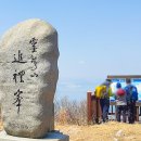 여수 1박2일-영취산 진달래 산행과 여수 여행 신청하기!! (4/1일, 단1회) 이미지