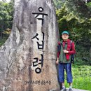 김창진농장 Daum카페