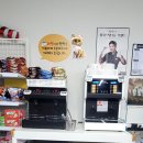 송강애견 이미지