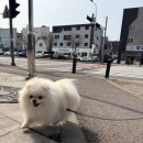 광주 수완지구 라멘 맛집 키리라멘