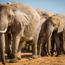 (주)상아개발 이미지