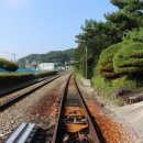 문경 철로자전거(가은역) | 강릉 여행 중 방문한 문경 철로자전거가은역 후기