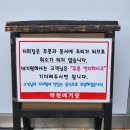 약천 | 합천 맛집 약천메기탕 솔직후기 식객 허영만 백반기행 맛집
