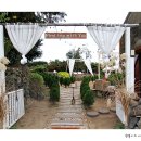 너와제주 이미지