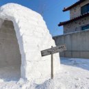 아이이글루(주) 이미지