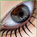 다인뷰티 이미지