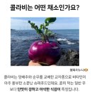 띠앗농장 이미지