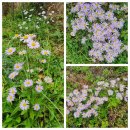 봉성저수지 둘레길 | 함안군 가볼만한곳 &#34;봉성저수지&#34; 둘레길 산보 힐링