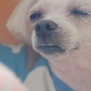 신나신나 줌바댄스 이미지