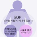 EGF성분(세포재생인자EPIDERMALGROWTHFACTOR) 이미지