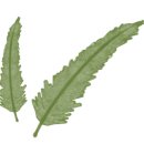 마카로니홈 이미지