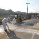 경상북도 축산기술연구소 이미지