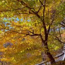 허덕교 화장실 이미지