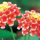 다일공인중개사사무소 이미지