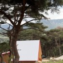 청도군-8 | + 경북 청도 숲속 캠핑장 + 도자기 체험_ 쏠캠야영장 뷰명당 8번 사이트 후기