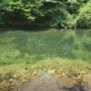 아버지의 숲 산정캠프 이미지