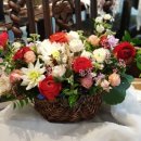 운정블라썸꽃집 이미지