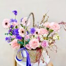 사파동205 이미지