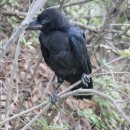 식장산 숲길 이미지