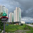 엔젤코바 이미지