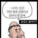 서해대로180번길 이미지