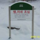 용현자연휴양림 야영장 이미지