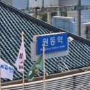 꽃풍경 | [부산 근교 봄 여행] 양산 원동 매화축제 : 순매원 매화꽃 풍경/방문 후기/봄 여행 추천