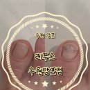 레푸스 망포점 네이버블로그