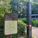 336차 ,08월 09일 토요 둘레길 길동무,구로 올레길 숲속길 걷기 , 이미지