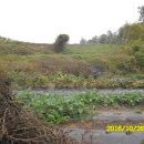 안성맞춤부동산중개 이미지