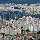 세무법인이도 이미지